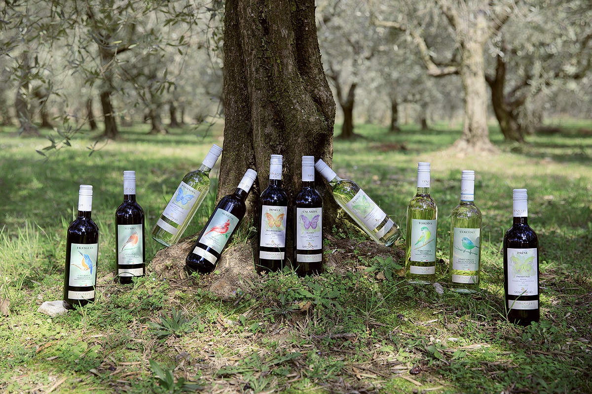 I vini biologici di Tinazzi